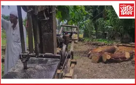 বন বিভাগৰ অভিযান, জব্দ অবৈধ কাঠফলা মিল