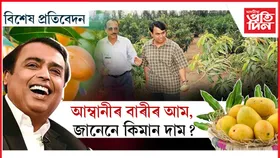ডনাল্ড ট্ৰাম্প, পুটিনৰ ডাইনিং টেবুলত আম্বানীৰ বাৰীৰ আম!