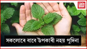 সাৱধান! এইসকল লোকে পুদিনা নাখাব