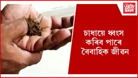 আপুনিও চাধা খায় নেকি ? কিদৰে ত্যাগ কৰিব এই নিচা, জানি লওঁক