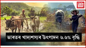 ৩৫৪ এমটিত সৰ্বকালৰ সৰ্বোচ্চ স্তৰত উপনীত হৈছে ভাৰতৰ খাদ্যশস্যৰ উৎপাদন