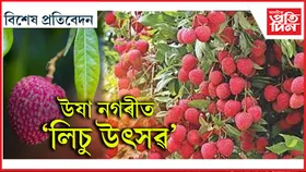 লিচু খাবলৈ তেজপুৰলৈ যাওঁ ব'লক...