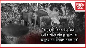 ৰঙা ফিটাৰ মেৰপাকতে থাকিল তপতজুৰিৰ ১৮ বন্যহস্তীৰ মৃত্যুৰ তদন্ত