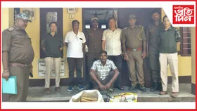লামডিঙত কেইবা লাখ টকাৰ মূল্যৰ বগা চন্দন কাঠসহ এজনক আটক