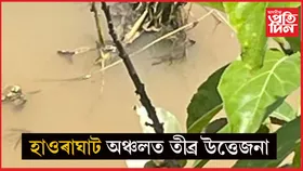 যমুনা গাঁৱৰ নৈত দুই অচিনাক্ত পুৰুষ- মহিলাৰ মৃতদেহ উদ্ধাৰ...