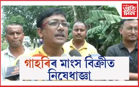 মঙলদৈত পুনৰ ছোৱাইন ফেভাৰ : ৬০ টা গাহৰি নিধন