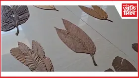 ৩০ বছৰে যোৰপাত সংগ্ৰহ কৰিছে ধুবুৰীৰ প্ৰদীপ ঘোষে