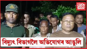 লামডিঙত নিশা বনৰীয়া হাতী বিদ্যুৎস্পৃষ্ট : গুৰুতৰভাৱে আহত