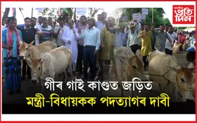 গীৰ গাই চোৰ গ্ৰেপ্তাৰৰ দাবীত হাটশিঙিমাৰীত কংগ্ৰেছৰ উত্তাল প্ৰতিবাদ