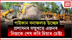 পাইকান সংৰক্ষিত বনাঞ্চলৰ ১০৩৮ বিঘা ভূমিত উচ্ছেদঃ হাতী-মানুহৰ সংঘাত দূৰ কৰিবলৈ ৰোপণ কৰিব গছ