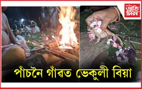 নাই বৰষুণ : পাঁচনৈ গাঁৱৰ কৃষক ৰাইজে অনুষ্ঠিত কৰিলে ভেকুলী বিয়া