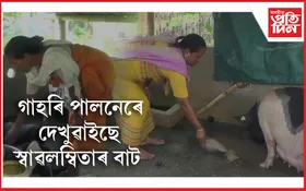 গাহৰি পালনৰ জৰিয়তে আৰ্থিকভাৱে স্বাৱলম্বী বাক্সাৰ শতাধিক মহিলা