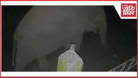 পৰ্বতঝোৰাত অব্যাহত হাতী-মানুহৰ সংঘাত