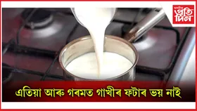 গাখীৰ ভালে ৰাখিবলৈ কৰক এই এইকেইটা কাম