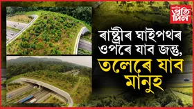 দেশৰ ভিতৰতে সবাতোকৈ দীঘল বন্যপ্ৰাণী কৰিডৰ নিৰ্মাণ...