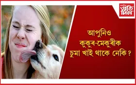 সাৱধান ! বহু ৰোগৰ কাৰণ পোহনীয়া কুকুৰ-মেকুৰী-মাছ-কাছ-চৰাই 