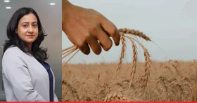 Grain Commerce Leader Arya.ag Appoints Priyanka Wadhera as CFO
