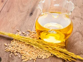 What Experts Say about the most suitable Cooking Oil for Indian Kitchens?