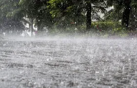 Kolkata Weather Today: আবহাওয়ার হঠাত বদল, তুমুল বৃষ্টি জেলায় জেলায়, আদৌ গরম কমবে? কী বলছে হাওয়া অফিস?