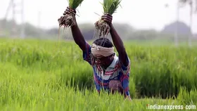 PM Kisan 20th Installment Date:  প্রধানমন্ত্রী কিষাণ সম্মান যোজনা নিয়ে বিরাট আপডেট, জেনে নিন ২০তম কিস্তির টাকা কবে পাবেন?