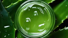 Aloe Vera Hair Mask: চুল পড়ার সমস্যা? সপ্তাহে একবার লাগান অ্যালোভেরা হেয়ার মাস্ক