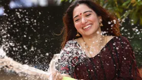 Tamannaah Bhatia Love Rumour: পাকিস্তানি ক্রিকেটারকে বিয়ে করেছিলেন তামান্না? সামনে এল আসল সত্যিটা