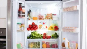 Fridge Coin Trick: রান্না করা খাবার ফ্রিজে রাখেন? ডিপ ফ্রিজে ১ টাকার কয়েন রাখলেই জানবেন খাবার খাওয়ার যোগ্য কি না!