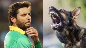 Shahid Afridi Controversy: সত্যিই কুকুরের মাংস খান শাহিদ আফ্রিদি? গোপন কথা ফাঁস করলেন ইরফান পাঠান