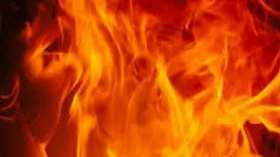 Kolkata Fire: দাউ দাউ জ্বলছে কারখানা, প্রাণে বাঁচতে ঝাঁপ দিলেন ব্যক্তি! ভয়াবহ দৃশ্য খাস কলকাতায়