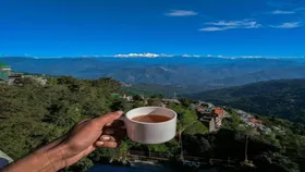 Budget-Friendly Stays in Darjeeling: Cosy Beds, Mountain Air, and Wallet-Happy Vibes