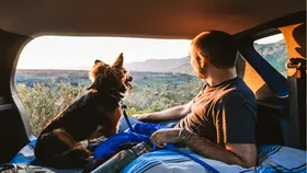 Top Pet-Friendly Hotels in Kolkata: Your Guide to Stays With Furry Companions