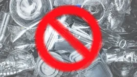 Bare Necessities’ Sahar Mansoor Draws a Blueprint for Combating Plastic Pollution as a Business