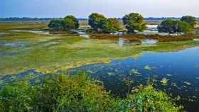 UNESCO Heritage Site: The Mesmerising Beauty of the Keoladeo National Park