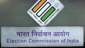 EC to soon initiate process to hold vice-presidential polls