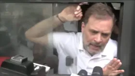 EC office march: Delhi Police detain INDIA bloc MPs, including Rahul Gandhi
