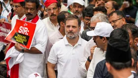 Congress blames Rahul's lawyer for raising 'life threat' issue without consent