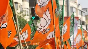 मध्य प्रदेश: भाजपा को जल्द मिलेगा नया अध्यक्ष, चुनाव की सारी तैयारियां पूरी