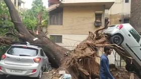 Delhi Rain: साउथ दिल्ली के शेख सराय में एक बड़ा पेड़ गिरने से 5 से 6 गाड़ी डैमेज और कई बाइक दबे