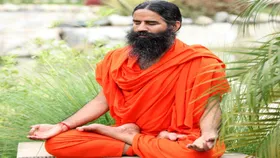 Baba Ramdev TIPS: क्लाइमेट चेंज में आपको ये औषधीय पेड़ रखेंगे स्वस्थ, बाबा रामदेव ने बताए टिप्स