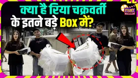 इतना बड़ा बॉक्स लिए कहां जा रहीं रिया चक्रवर्ती? वीडियो देख फैंस के मन में उठे कई सवाल