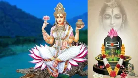 Ganga Dussehra 2025: गंगा दशहरा पर शिवलिंग पर चढ़ाएं ये 7 चीजें, शनि दोष समेत इन समस्याओं से मिलेगी मुक्ति