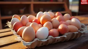 National Egg Day पर जानिए इम्युनिटी बढ़ाने से लेकर वजन कंट्रोल करने तक अंडे के फायदे
