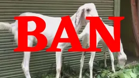 Bakrid: इस मुस्लिम देश में बकरीद नहीं होगी कुर्बानी,  घर-घर जाकर बकरे-भेड़ जब्त कर रही है पुलिस