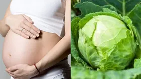 Viral News: पत्ता गोभी से पता लगा रहे हैं लोग महिला के गर्भ में लड़का है या लड़की, जानिए क्या है ये ट्रेंड