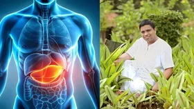 लिवर की बीमारियों के लिए बेस्ट है ये चीज, आचार्य बालकृष्ण ने बताया इसको सेवन करने का सही तरीका