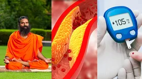 बाबा रामदेव ने बताया डायबिटीज और कोलेस्ट्रॉल जैसी बीमारियों का कारगर इलाज