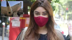 अहमदाबाद प्लेन क्रैश में बॉलीवुड एक्ट्रेस की दोस्त की हुई मौत, कहा- 'मुझे पता था कि वो'