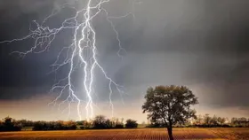 Bihar: सुपौल में वज्रपात, चपेट में आए एक ही परिवार के चार सदस्य, मवेशी की गई जान