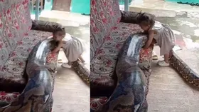 अजगर के साथ बच्ची की इतनी गहरी दोस्ती, देखकर भी नहीं होगा यकीन
