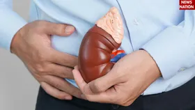 कौन कर सकता है लिवर डोनेट? जानिए क्या है इसके लिए नियम और शर्तें